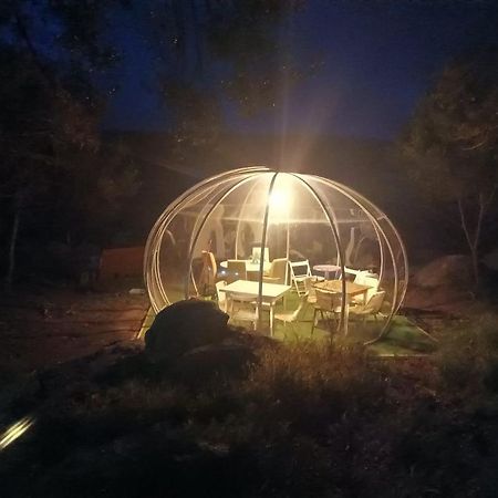 Eucaliptus Farm Retreat Guest House Santa Teresa Gallura Eksteriør bilde