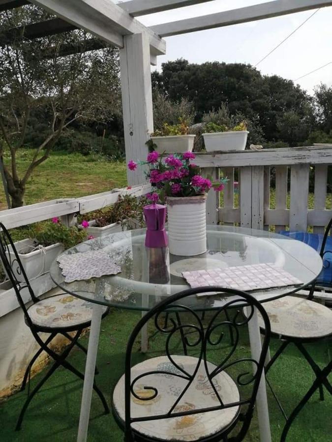 Eucaliptus Farm Retreat Guest House Santa Teresa Gallura Eksteriør bilde
