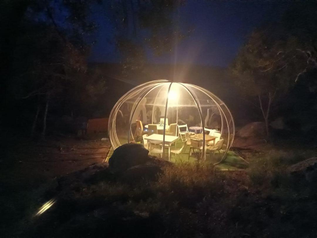 Eucaliptus Farm Retreat Guest House Santa Teresa Gallura Eksteriør bilde