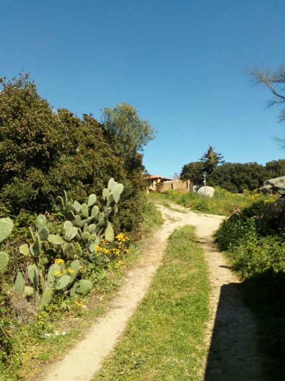Eucaliptus Farm Retreat Guest House Santa Teresa Gallura Eksteriør bilde