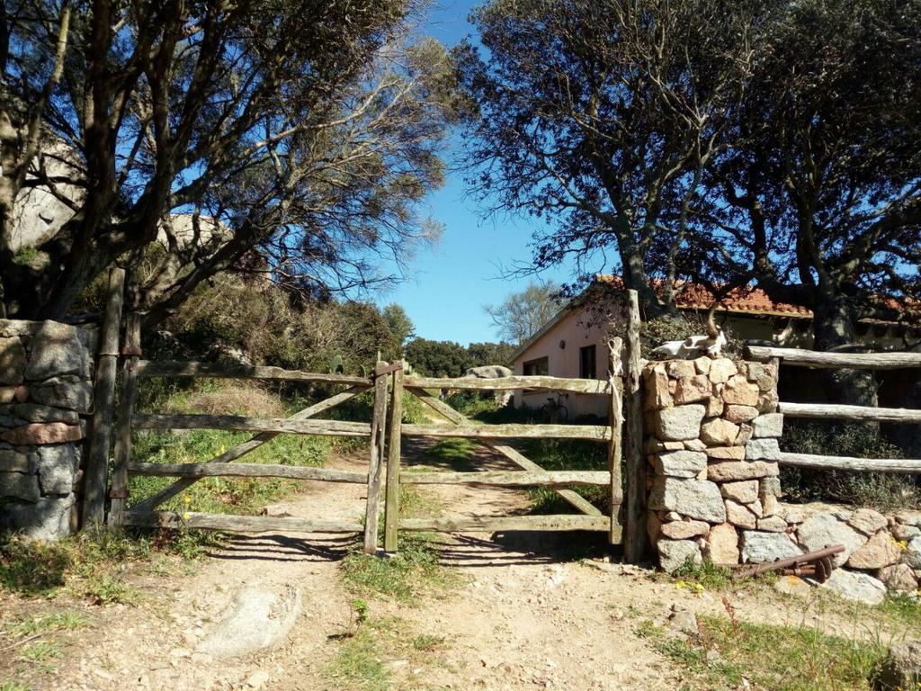 Eucaliptus Farm Retreat Guest House Santa Teresa Gallura Eksteriør bilde