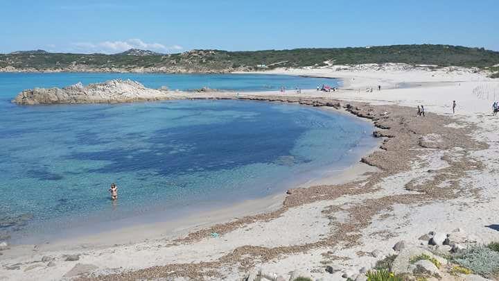 Eucaliptus Farm Retreat Guest House Santa Teresa Gallura Eksteriør bilde